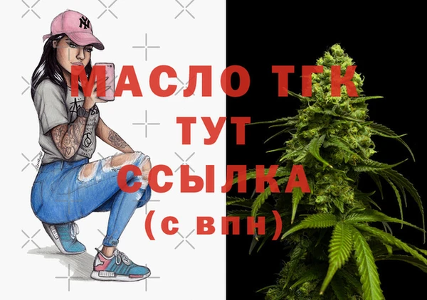 соль ск Надым