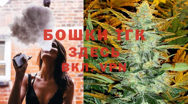 соль ск Надым