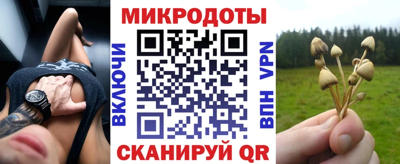 KRAKEN tor  Киров  площадка какой сайт  Галлюциногенные грибы GOLDEN TEACHER 